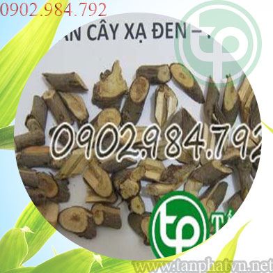 địa chỉ bán cây xạ đen tại Củ Chi tăng cường