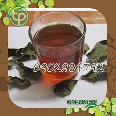 địa chỉ bán cây xạ đen tại Huế uy tín