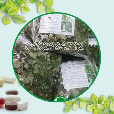 địa chỉ mua bán cây xạ đen tại hồ chí minh chất lượng nhất ?