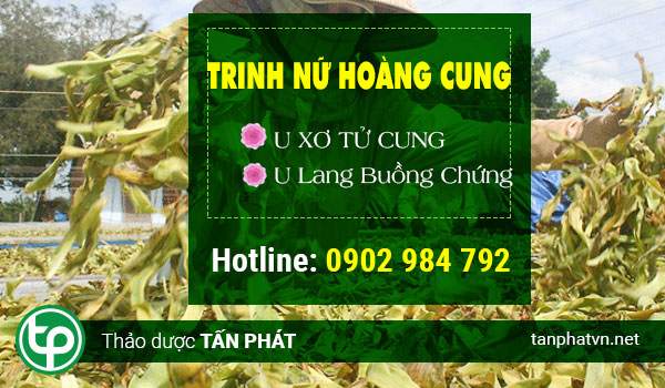 Địa chỉ mua bán trinh nữ hoàng cung tại Hà Đông trị bệnh hiệu quả