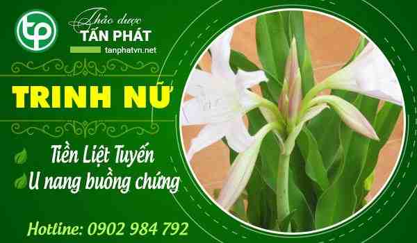 Địa chỉ mua bán trinh nữ hoàng cung tại Thanh Xuân tăng cường sức khỏe