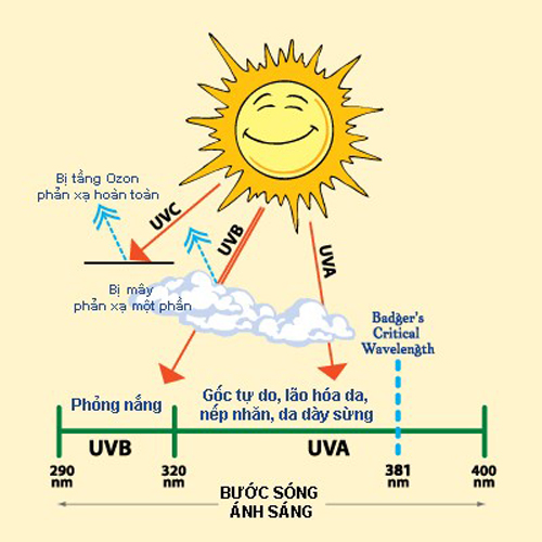 Các loại tia UV nhiều ảnh hưởng đến làn da.