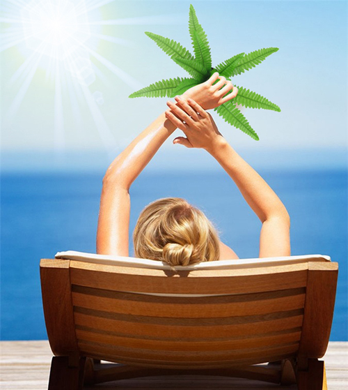 bổ sung vitamin d mà không cần tiếp xúc nhiều ra nắng