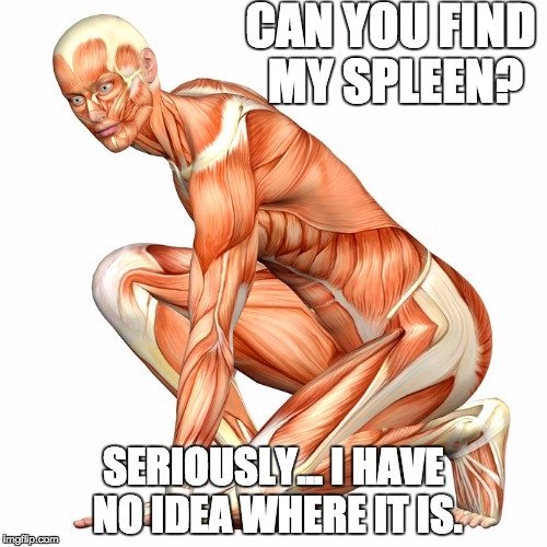 lá lách bị thiếu