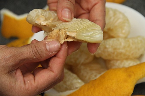 Chế nước nóng vào hạt bưởi tươi có thể làm thuốc giúp chữa bệnh tiểu đường.