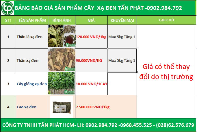 bảng giá cây xạ đen tại Việt Trì