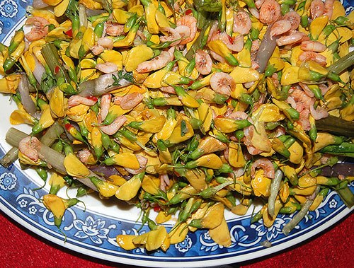 hoa điên điển