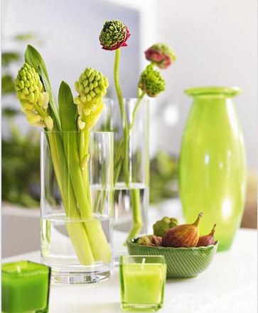 cây hoa tốt cho vận khí