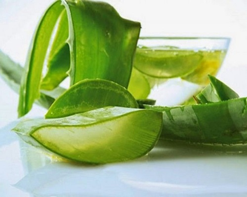 nha đam điều trị tiểu đường